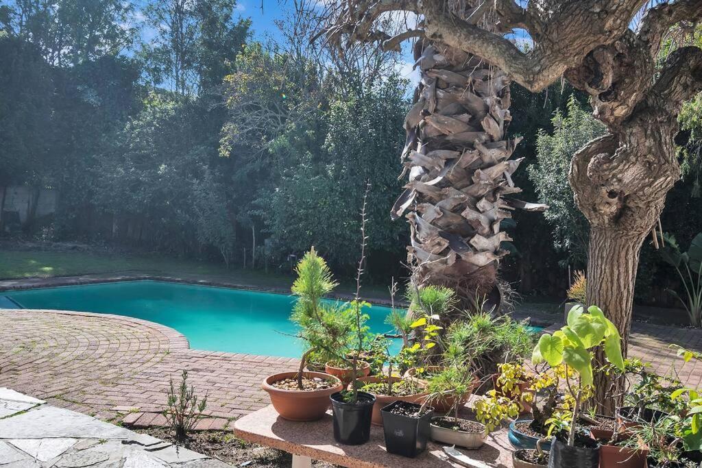 Holiday home Diep River Family Home With Pool Braai *